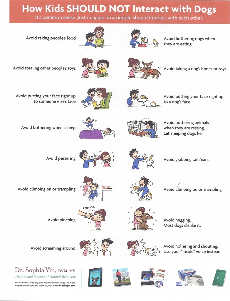 what to do with a dog