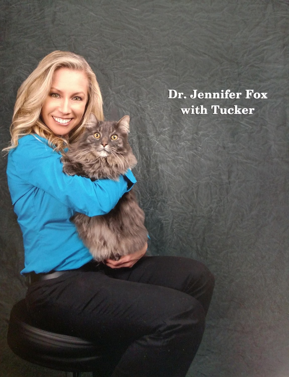 Dr. Jenn Fox / Owner Dr. Jenn Fox / Owner